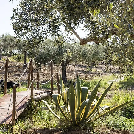 Baglio Vecchio Castelvetrano