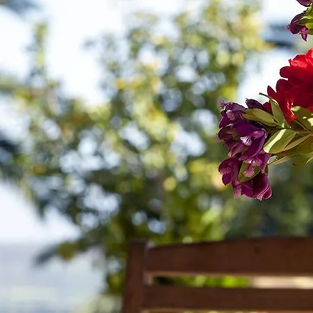 Farma Baglio Vecchio