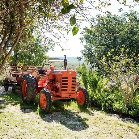 Baglio Vecchio Farma Castelvetrano